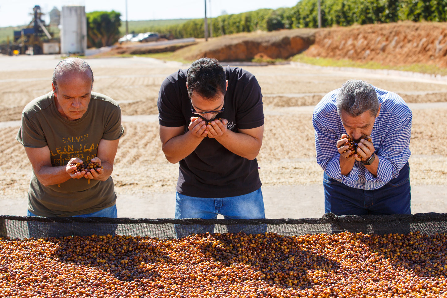 Brazil Sao Silvestre, Andrade Family, Carbonic Maceration
