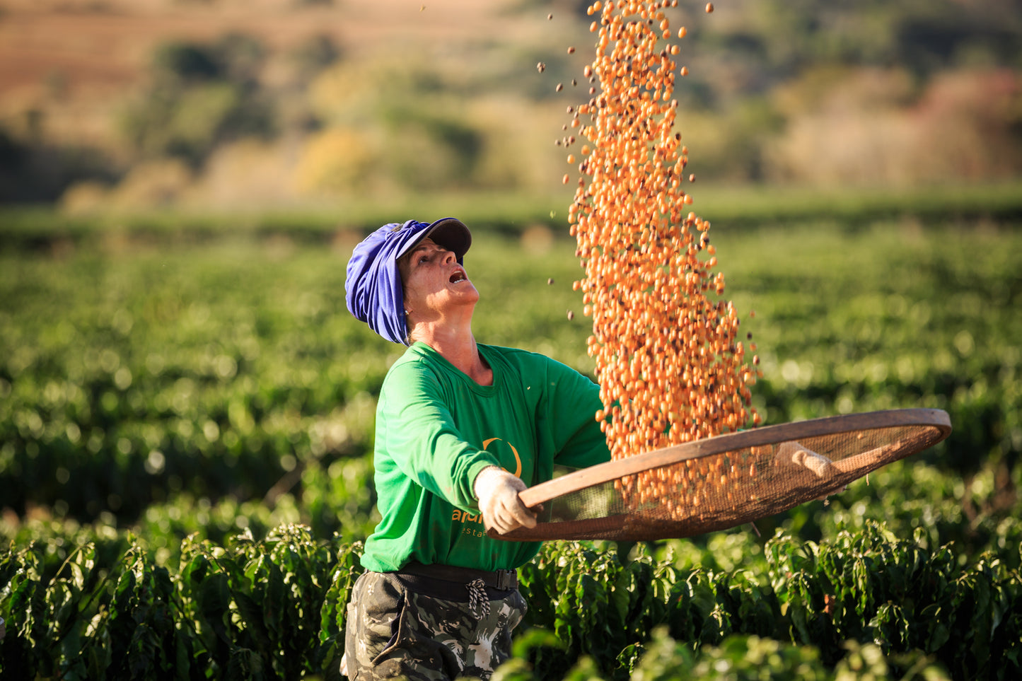 Brazil Sao Silvestre, Andrade Family, Aerobic Fermentation