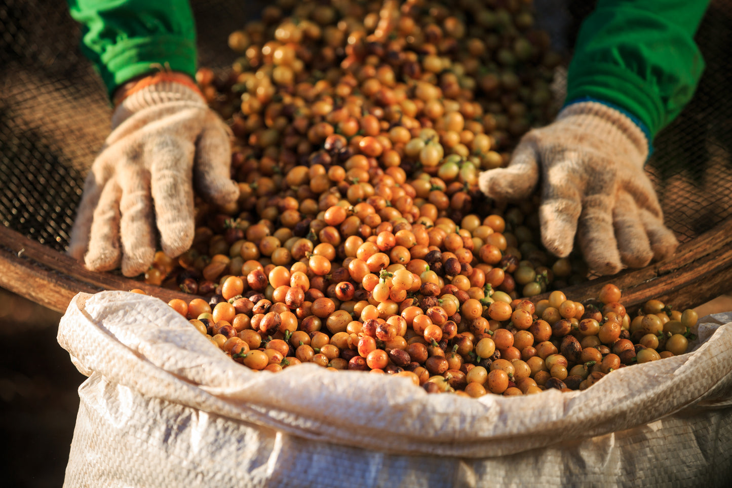Brazil Sao Silvestre, Andrade Family, Aerobic Fermentation