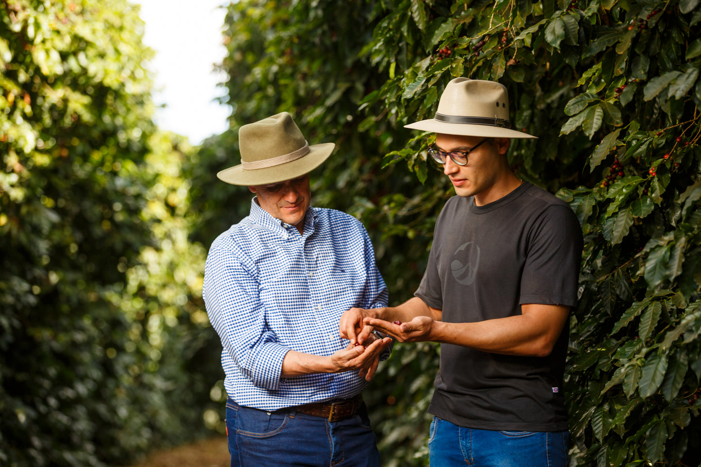 Brazil Sao Silvestre, Andrade Family, Carbonic Maceration