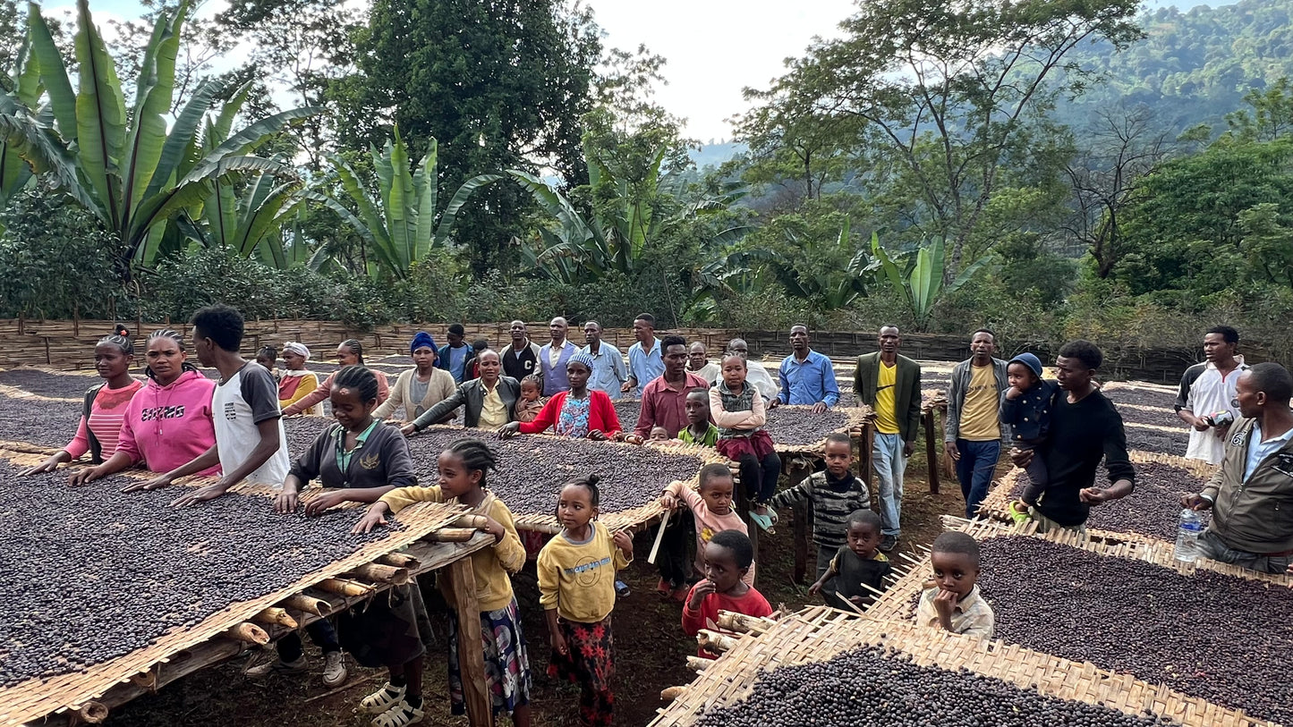 Ethiopia Daniel Alemayehu Natural