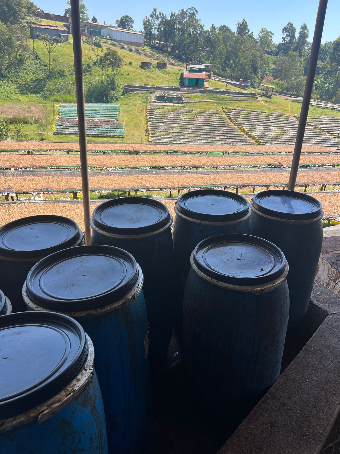 Ethiopia Uraga, Haro Wachu Natural Anaerobic