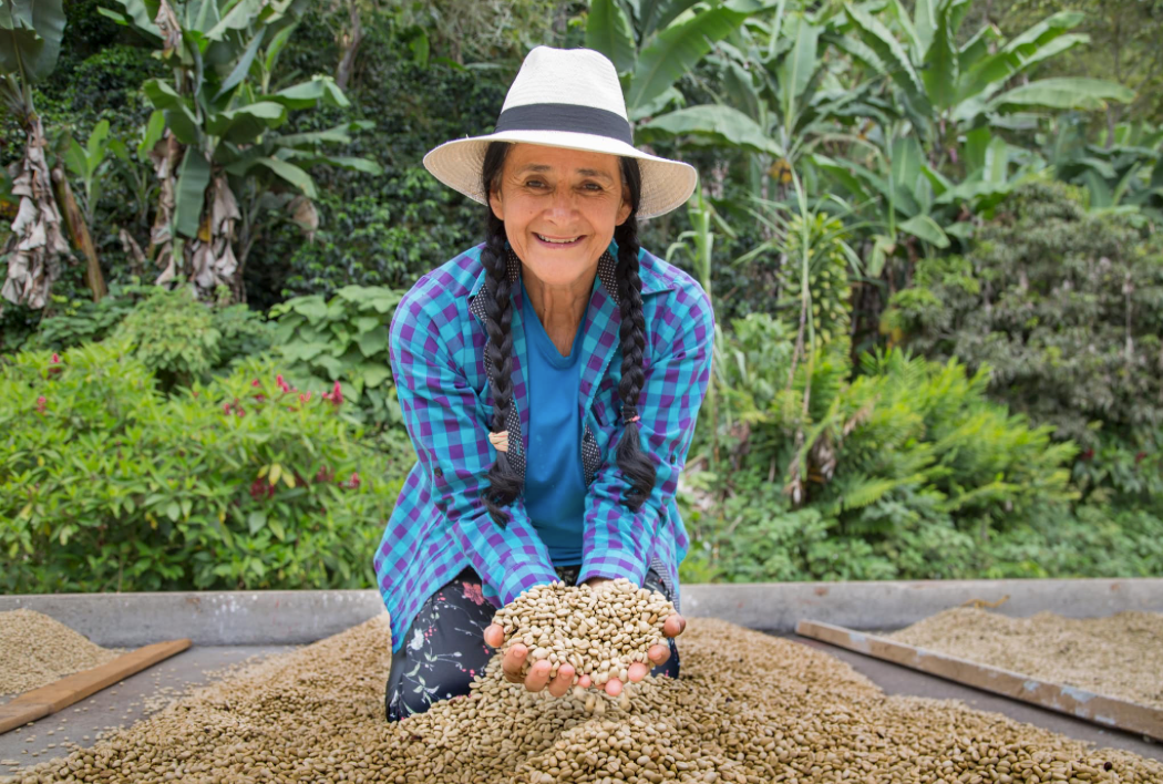 Guatemala - Lampocoy - Washed