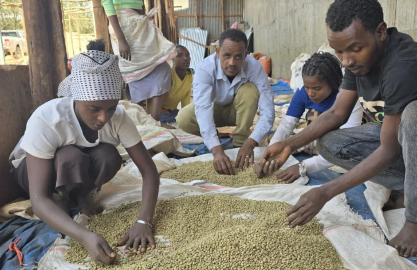 Ethiopia Legesse Matisso Natural
