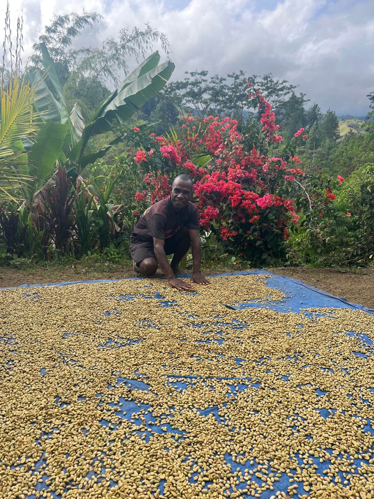 Papua New Guinea - Menyamar - Washed