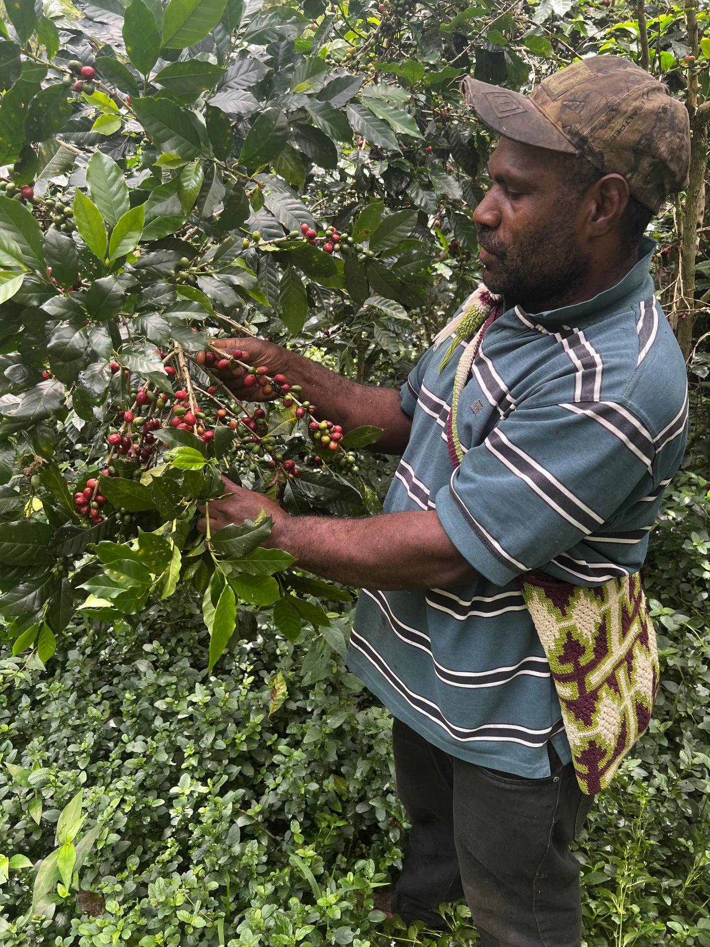 Papua New Guinea - Menyamar - Washed