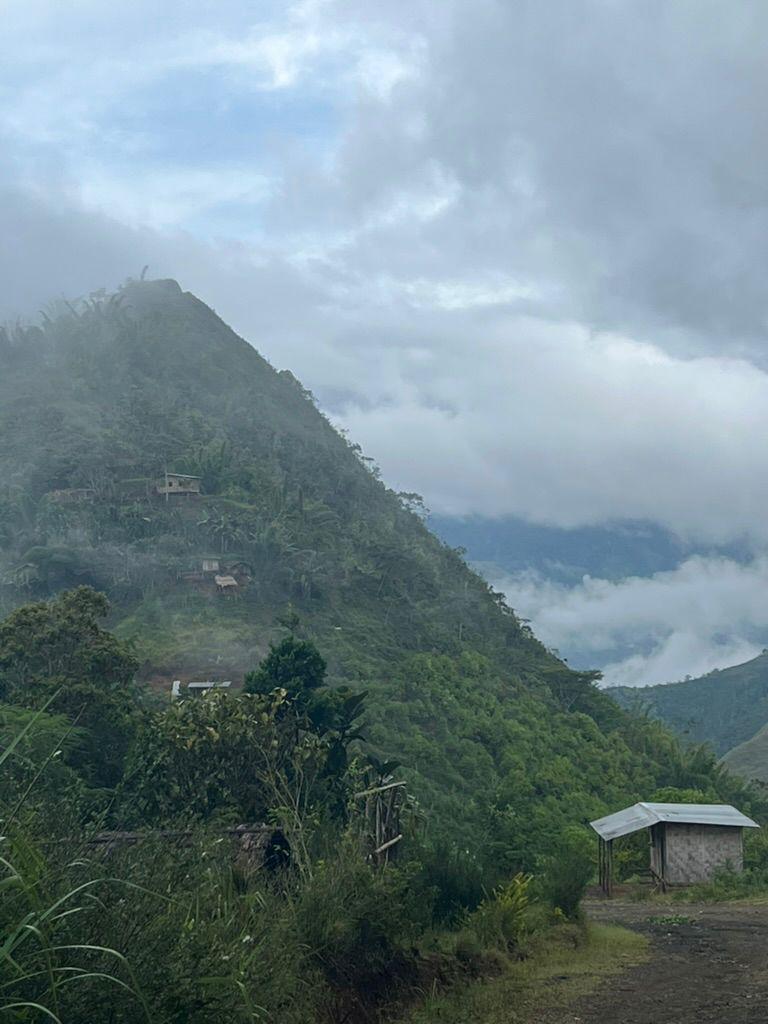 Papua New Guinea - Menyamar - Washed