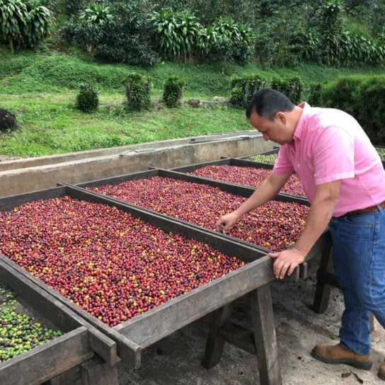 Nicaragua - Monte Cristo - Natural