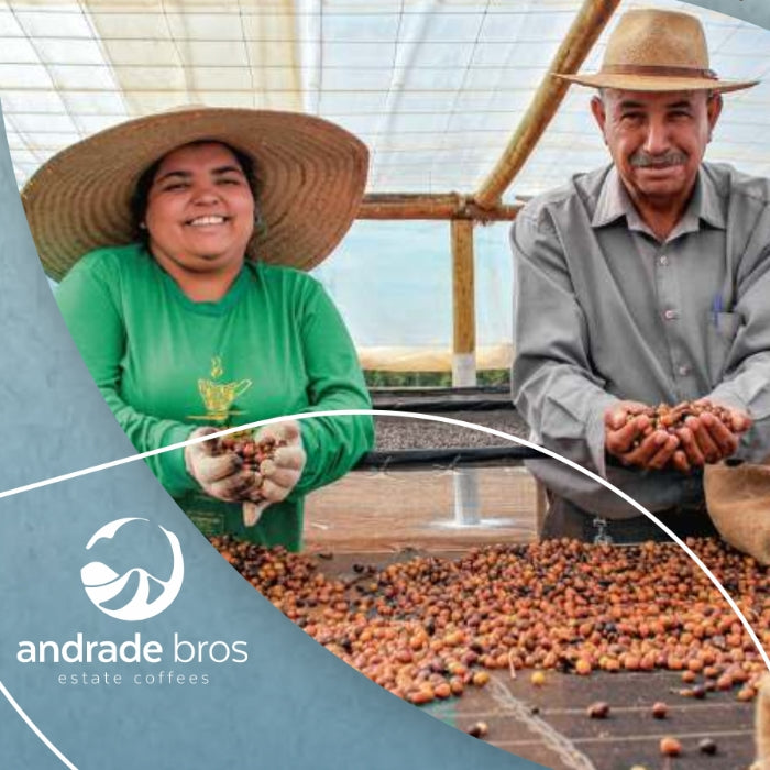 Brazil Sao Silvestre, Andrade Family, Aerobic Fermentation