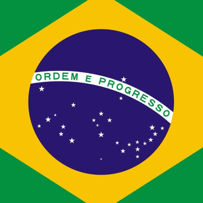 Brazil Sao Silvestre, Andrade Family, Aerobic Fermentation