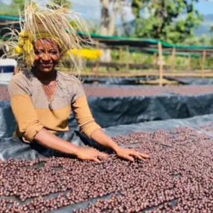 Ethiopia Bombe Natural