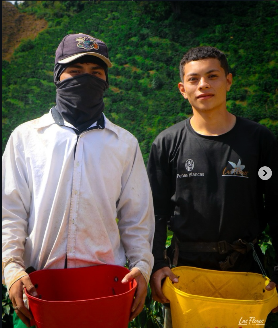 Colombia - Peňas Blancas - Estate 1 Natural Anaerobic