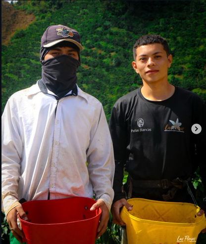 Colombia - Peňas Blancas - Estate 1 Natural Anaerobic