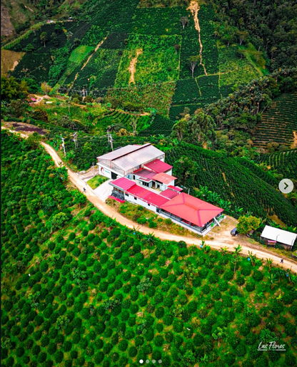 Colombia - Peňas Blancas - Estate 1 Natural Anaerobic