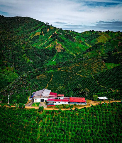 Colombia - Las Flores - Jhoan Vergara - Red Bourbon - Washed