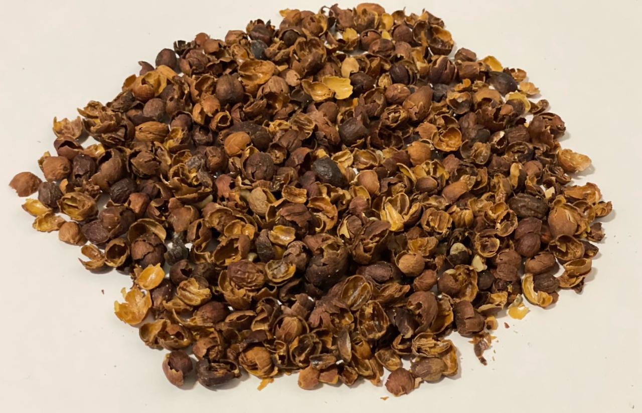 Costa Rica - CASCARA - Las Lajas