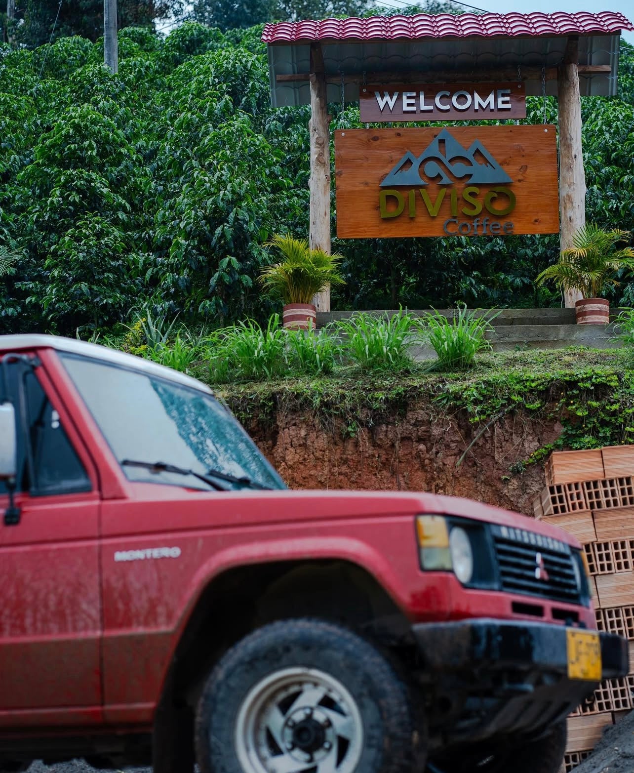 Colombia - El Diviso - Nestor Lasso - Bourbon Sidra - Anaerobic Natural Mosto