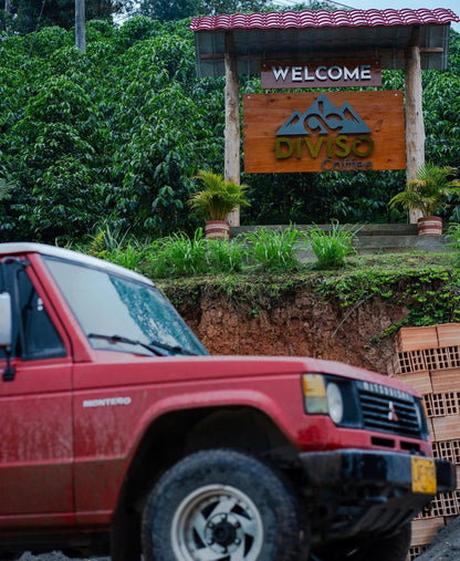 Colombia - El Diviso - Nestor Lasso - Bourbon Sidra - Anaerobic Natural Mosto