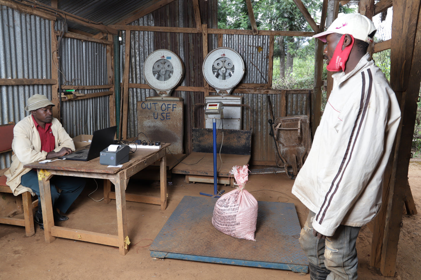 Kenya - Kiangoi AA - Washed