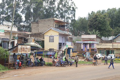 Kenya - Kiangoi AA - Washed