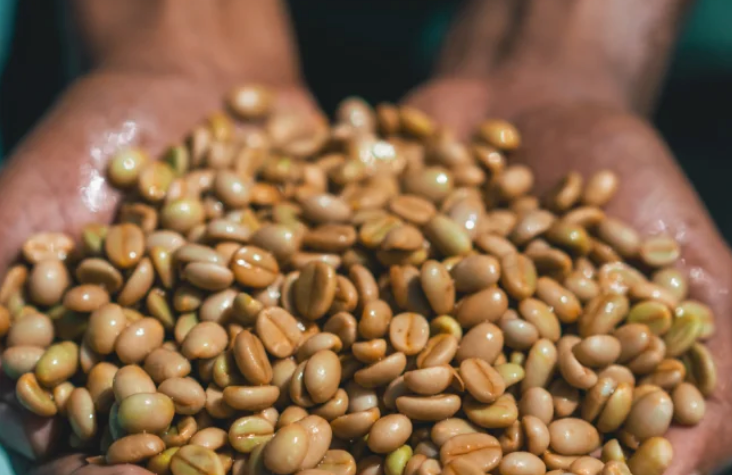 Rwanda Muraho Red Bourbon Natural