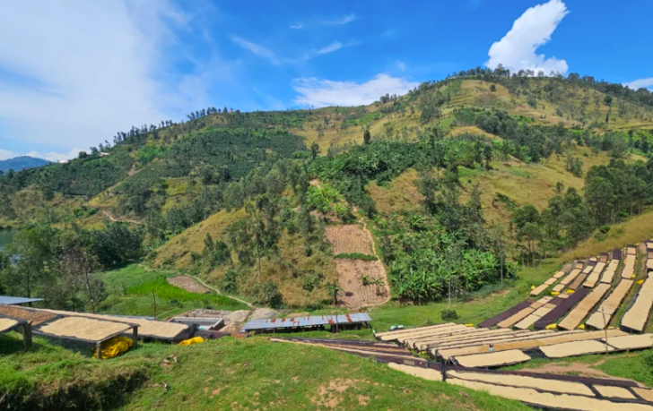 Rwanda Muraho Red Bourbon Natural