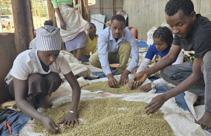 Ethiopia Legesse Matisso Natural