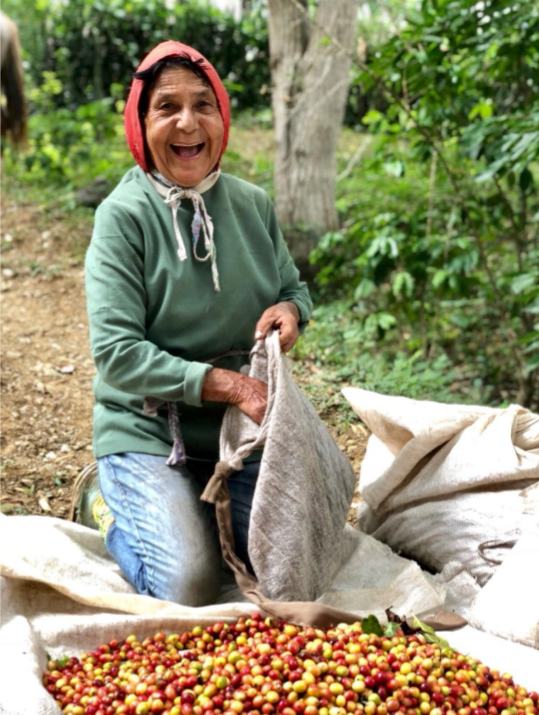 Guatemala - Finca Medina - Natural