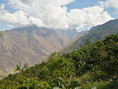 Colombia - Sol Naciente El Chorro - Washed