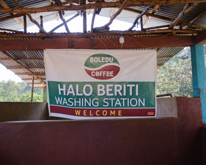 Ethiopia Halo Beriti Yirgacheffe G1 Washed