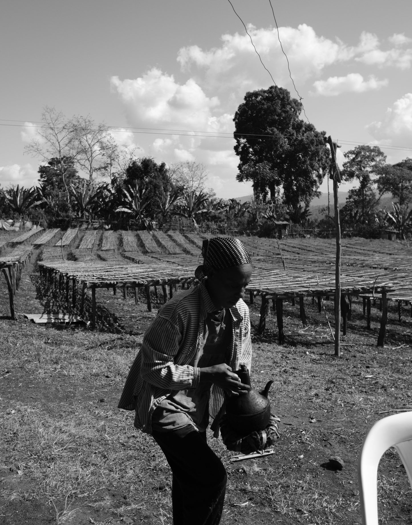 Ethiopia Halo Beriti Yirgacheffe G1 Washed