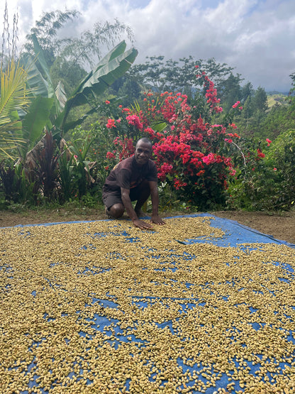 Papua New Guinea - Menyamar - Washed