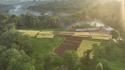 Ethiopia Kaffa - Bitta Farm - Washed G2