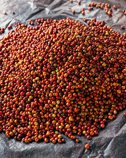 Kenya - Mutitu AA - Washed