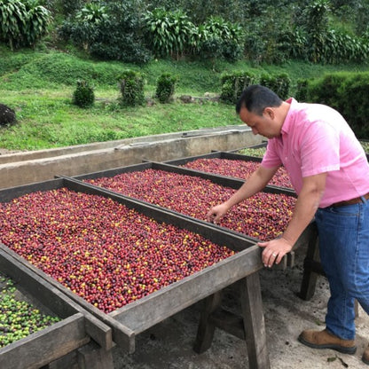 Nicaragua - Monte Cristo - Natural