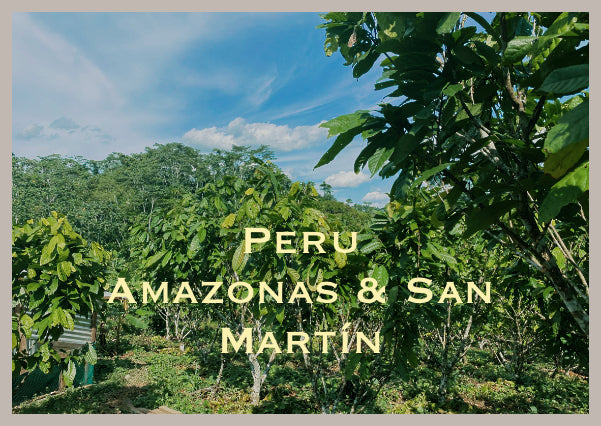 Peru – Amazonas & San Martín