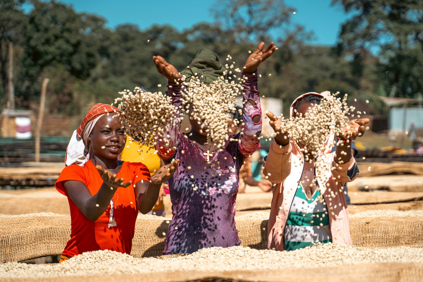 Ethiopia Uraga Yabitu Tume Washed