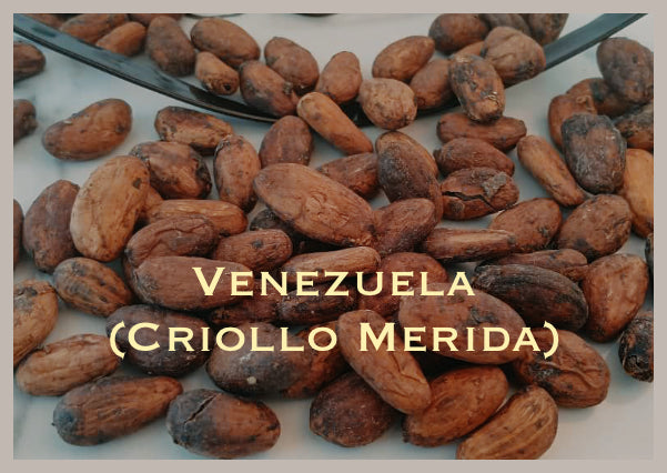 Venezuela (Criollo Merida)